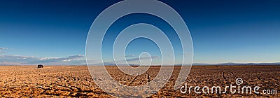 Panoramic wide banner landscape view near â€œOjos del Salarâ€ in Atacama Desert, Chile. Tire tracks contrasting the wilderness Stock Photo